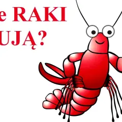 Gdzie raki zimują? Sekrety ich zimowania i naturalne środowisko życia