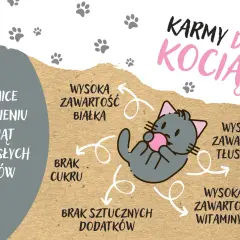 Jakie karmy są najlepsze dla kociąt: suche i mokre opcje żywieniowe