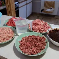 Domowy przepis na BARF dla kota: zdrowe i naturalne żywienie