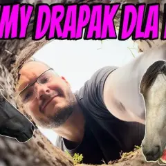 Drapak dla koni: wszystko co musisz wiedzieć przed zakupem - poradnik