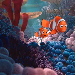 Gdzie jest Nemo? Najlepsze akwaria z bohaterami filmu dla dzieci