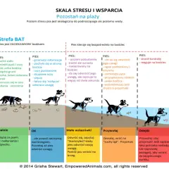 Skuteczne metody jak pracować z psem lękliwym - praktyczne wskazówki