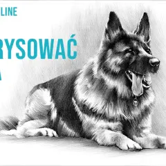 Proste sposoby jak narysować owczarka niemieckiego krok po kroku dla początkujących