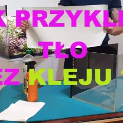 5 skutecznych metod przyklejania tła do akwarium bez kleju
