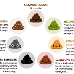Jak rozpoznać różne rodzaje kupy u psa: Co oznacza jasna i ciemna kupa