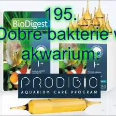 Jak prawidłowo i skutecznie dolewać bakterie do akwarium - kompletny poradnik