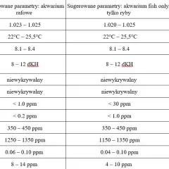 Najważniejsze parametry wody w akwarium: kompletny poradnik monitorowania