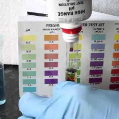 Domowe sposoby na pomiar pH w akwarium - prosty test wody