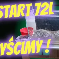 Kompletny przewodnik: Jak prawidłowo przeprowadzić restart akwarium w 7 prostych krokach