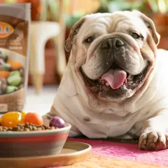 Hills low fat - karma dla psów, skład, korzyści i opinie