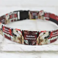 Jak dobrać idealną obrożę dla golden retrievera - kompletny poradnik