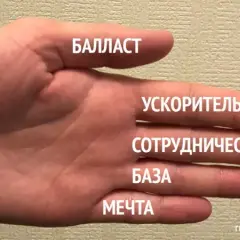 Skuteczne sposoby jak zlikwidować okrzemki w akwarium: 5 sprawdzonych metod