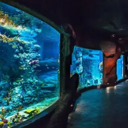 Oceanarium Świnoujście - co warto wiedzieć przed wizytą?