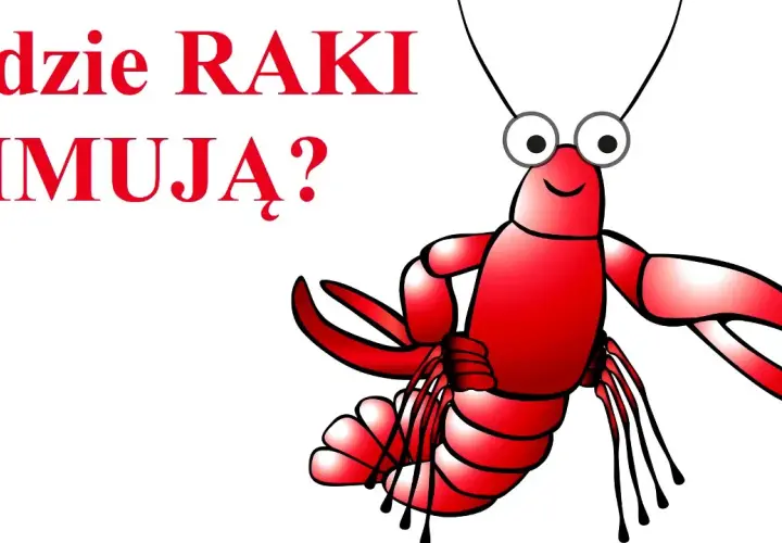 Gdzie raki zimują? Sekrety ich zimowania i naturalne środowisko życia