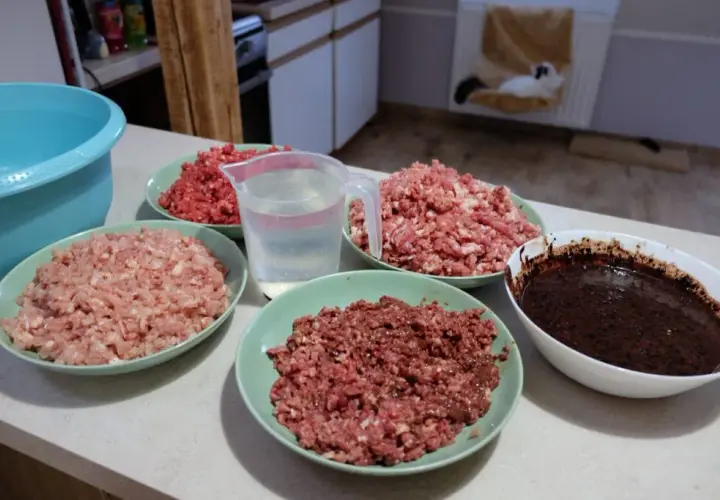 Domowy przepis na BARF dla kota: zdrowe i naturalne żywienie