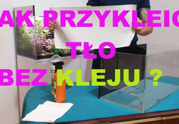 5 skutecznych metod przyklejania tła do akwarium bez kleju