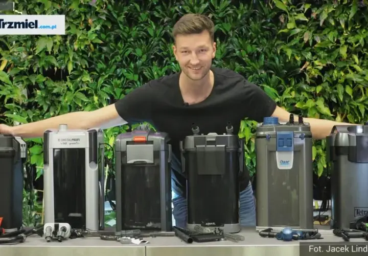 Filtr zewnętrzny do akwarium 240l - ranking najlepszych modeli na rynku