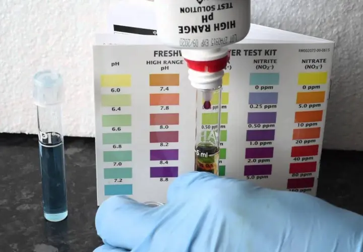 Domowe sposoby na pomiar pH w akwarium - prosty test wody