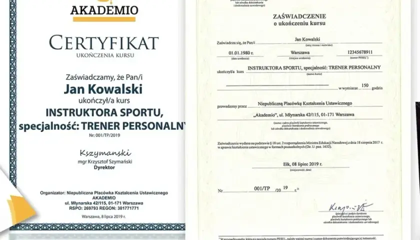 Jak zostać asystentem kynologicznym: kompletny kurs od podstaw