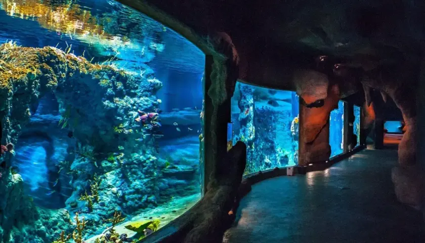 Oceanarium Świnoujście - co warto wiedzieć przed wizytą?