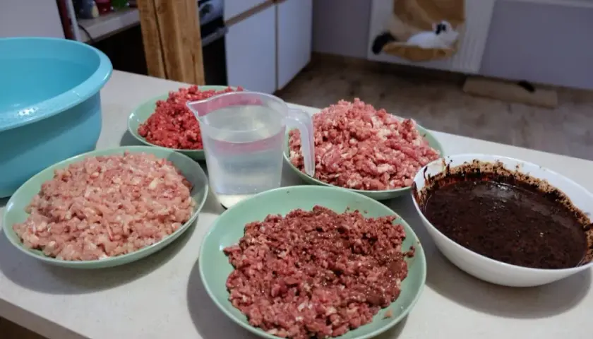 Domowy przepis na BARF dla kota: zdrowe i naturalne żywienie