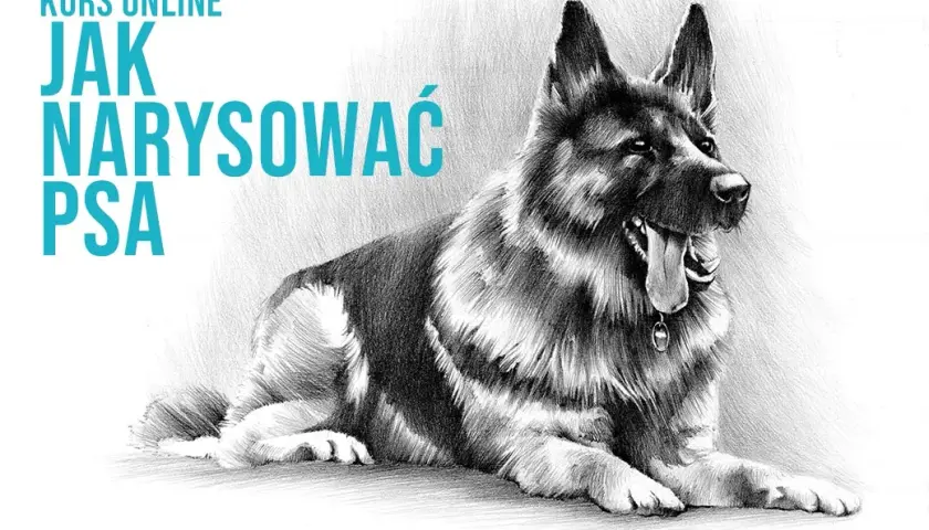 Proste sposoby jak narysować owczarka niemieckiego krok po kroku dla początkujących
