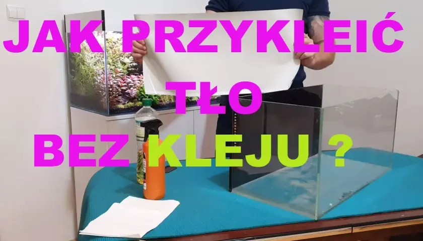 5 skutecznych metod przyklejania tła do akwarium bez kleju