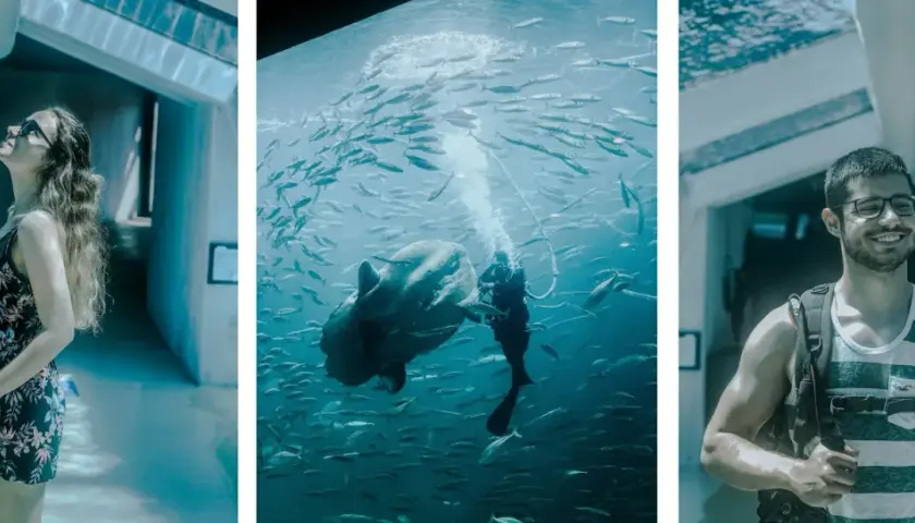 Oceanarium Dania: Odkryj fascynujące atrakcje i edukację morską