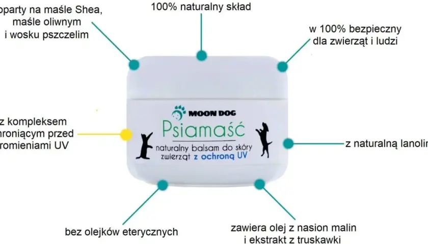 Jak prawidłowo stosować krem z filtrem dla zwierząt - poradnik ochrony pupila