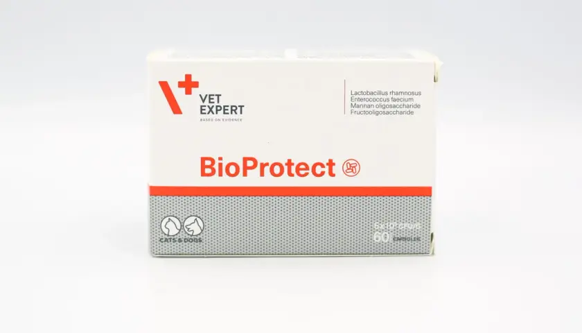 Bioprotect dla psa: skuteczne dawkowanie i zastosowanie probiotyku