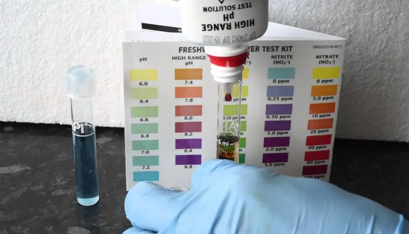 Domowe sposoby na pomiar pH w akwarium - prosty test wody