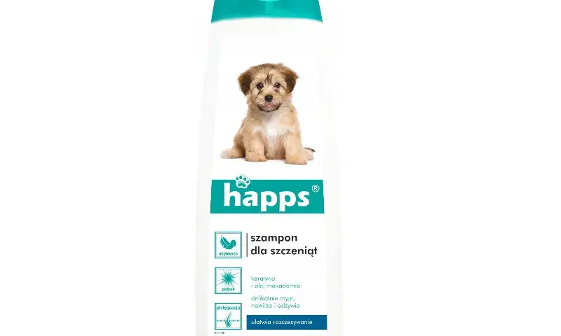 Jaki szampon dla szczeniaka? Wybierz bezpieczny i delikatny produkt