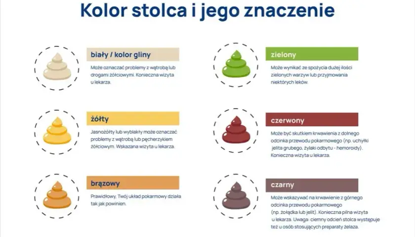 Ciemnozielony kał u psa: Co to znaczy i kiedy martwić się?