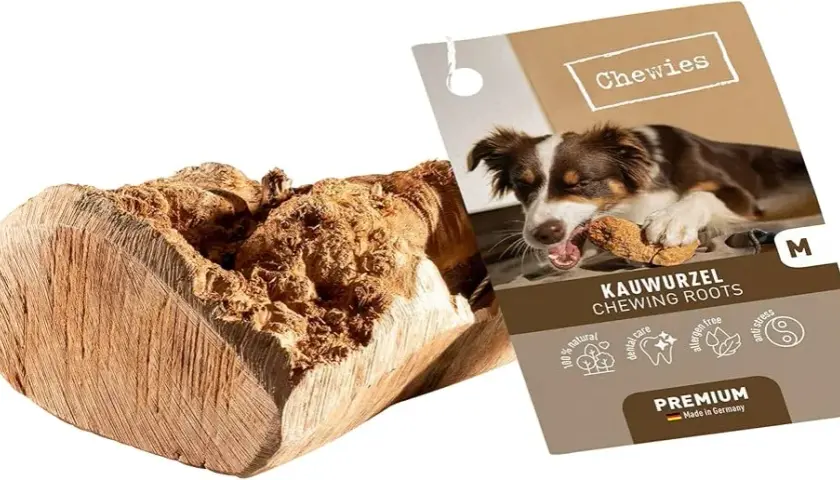 Korzeń dla psa: naturalna zabawka i bezpieczny gryzak dla twojego pupila