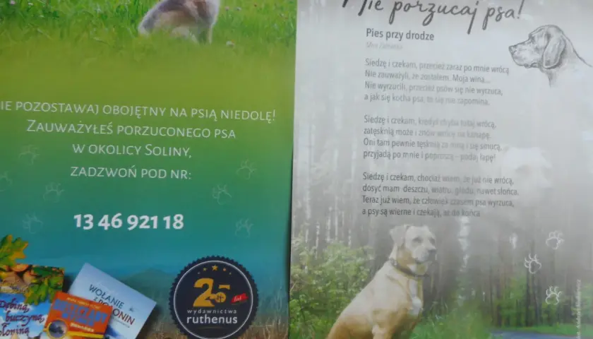 Poznaj prawdziwe powody dlaczego pies jest wierny swojemu właścicielowi