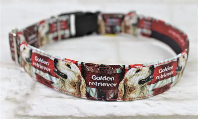 Jak dobrać idealną obrożę dla golden retrievera - kompletny poradnik