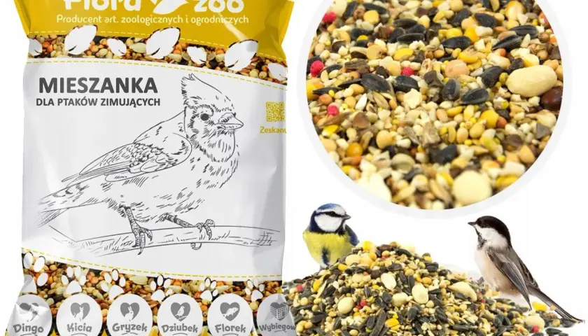 Jakie ziarna dla ptaków zimujących wybrać, by pomóc im przetrwać mrozy?