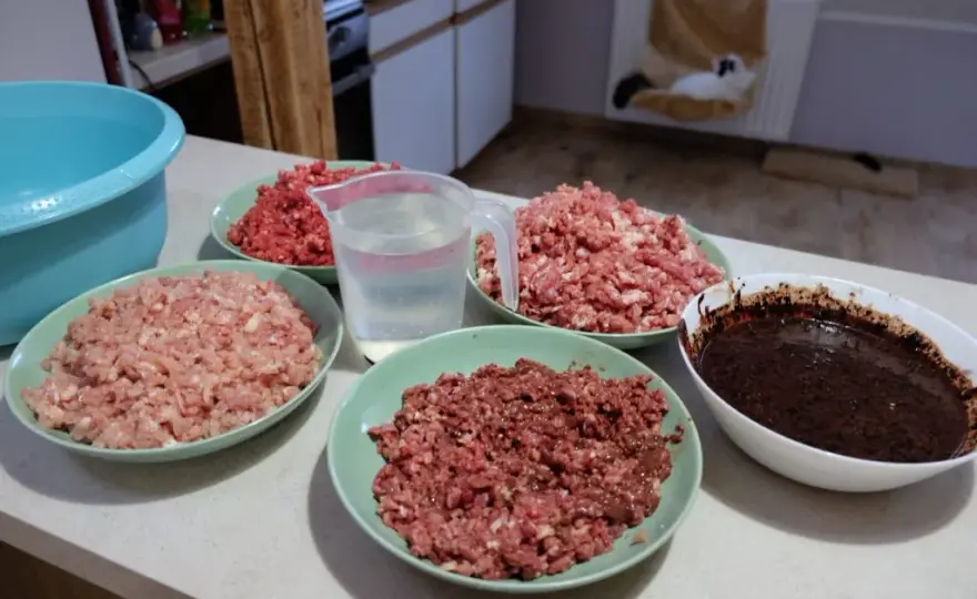 Domowy przepis na BARF dla kota: zdrowe i naturalne żywienie