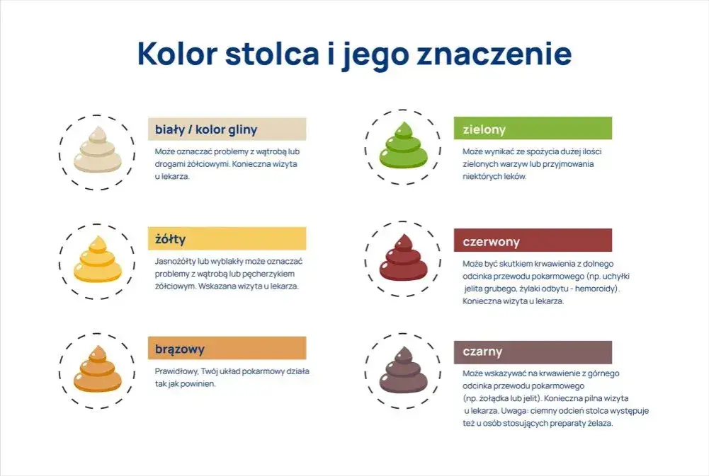 Ciemnozielony kał u psa: Co to znaczy i kiedy martwić się?
